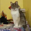 Отзыв от Клара Комарова